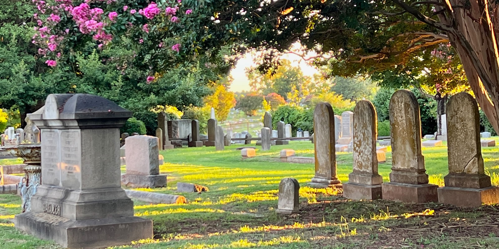 News From Friends of Hollywood Cemetery