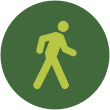 Walking Tours Icon